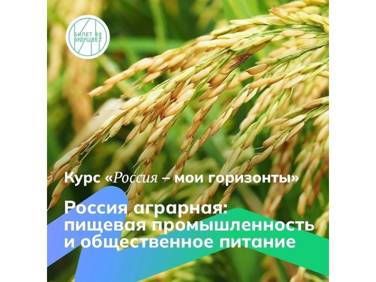 Внеурочное занятие «Россия - мои горизонты». Тема «Россия аграрная: пищевая промышленность и общественное питание».